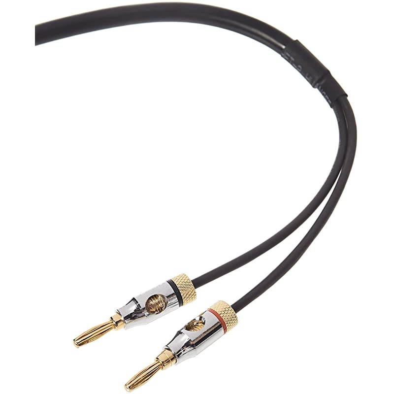 Speaker Cable with GoldPlated Banana Tips CL2 999 Oxygen Free 6Foot