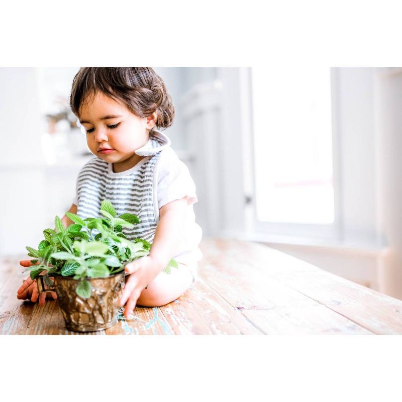 Little Unicorn 3pk Cotton Muslin Classic Bib Set - Watercolor Roses