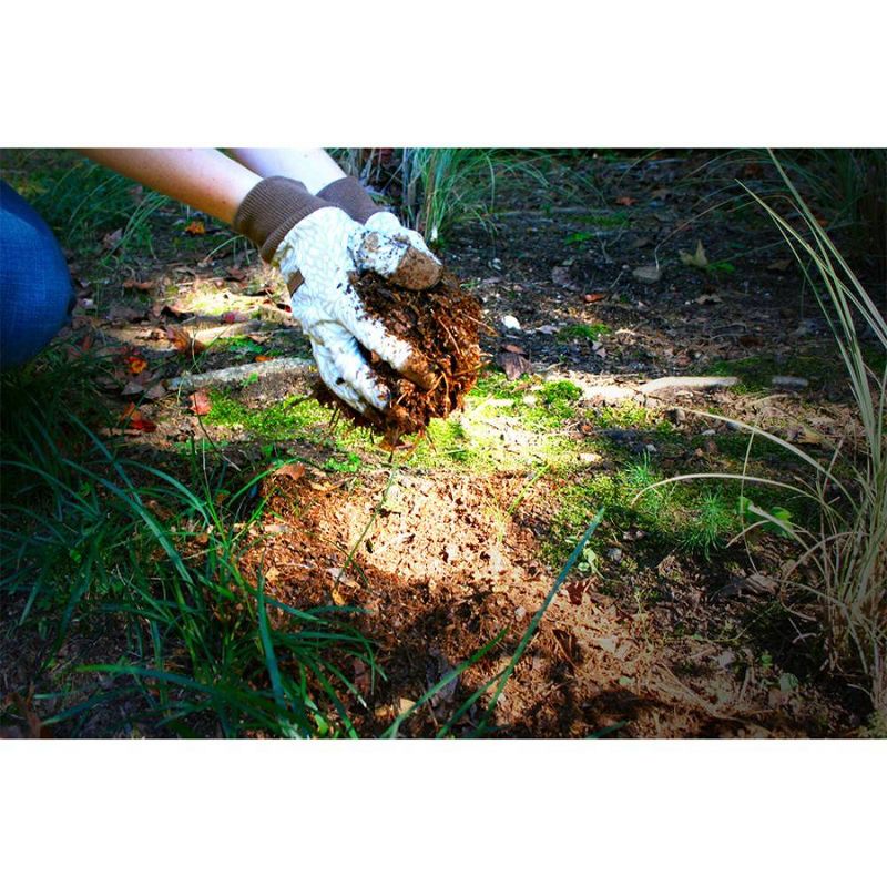 22" Electric Leaf Mulcher/Shredder With Bonus Accessory Kit - Yard Force