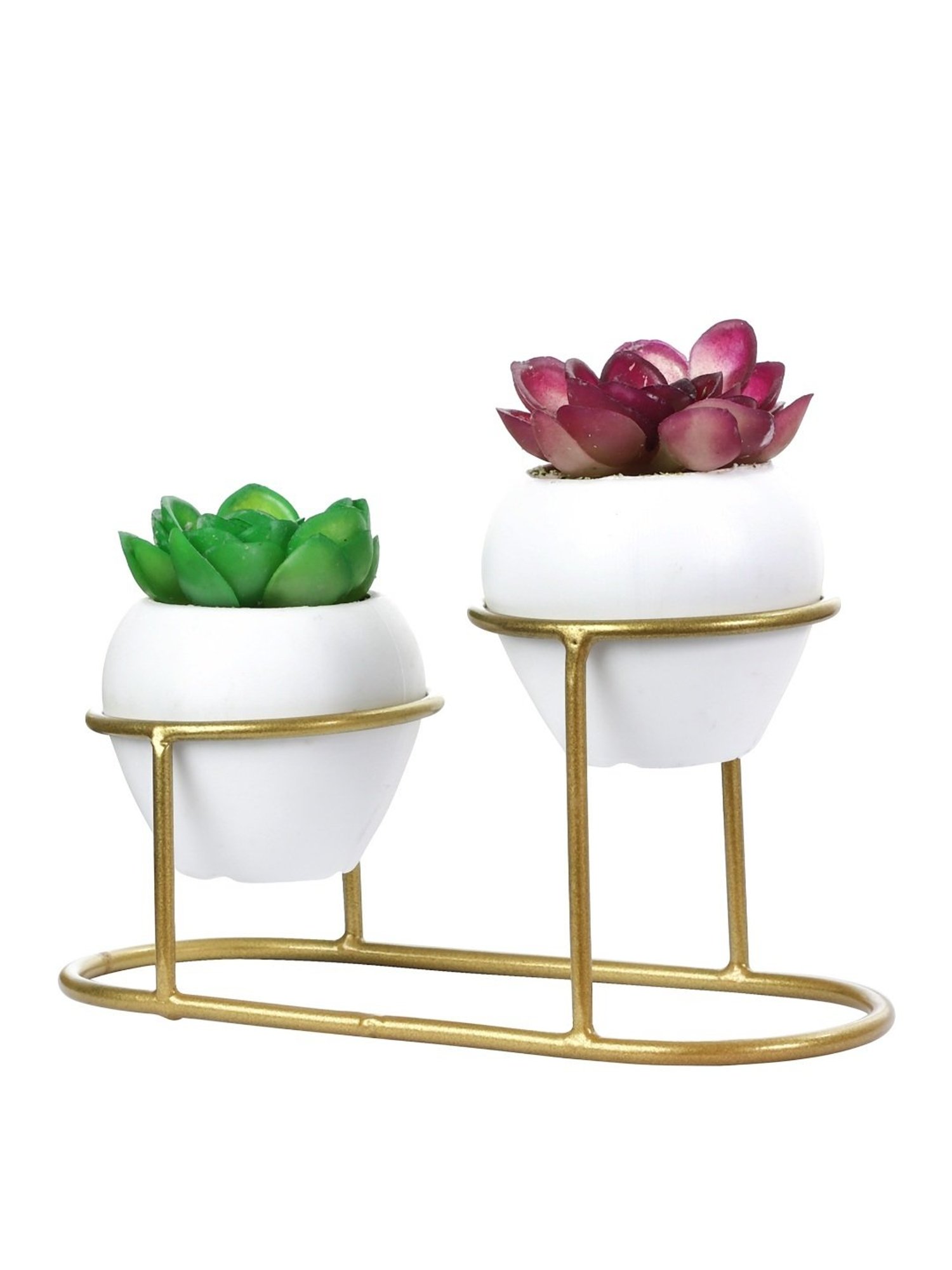 Foliyaj Multicolor Plastic Artificial Cactus Plants with Metal Holder - Set of 2