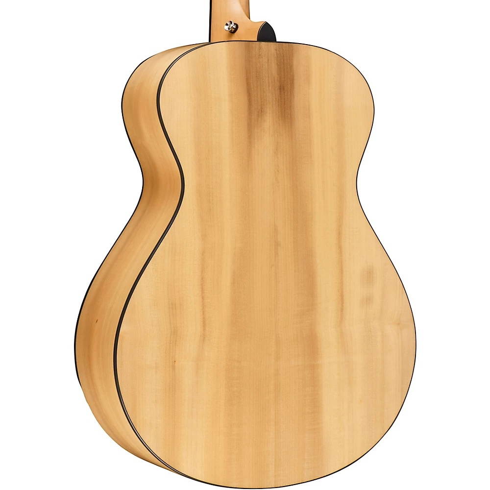 Ibanez AWFS300CE Acoustic/Electric, Open Pore Semi-Gloss