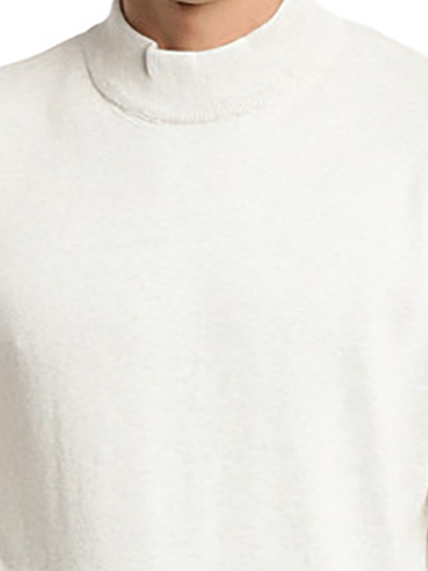 Turtle Beige Cotton Regular Fit Sweater