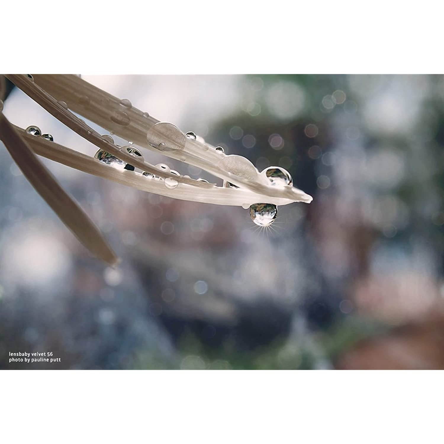 Lensbaby LB-V56BC Velvet 56" Lens for Canon EF Camera