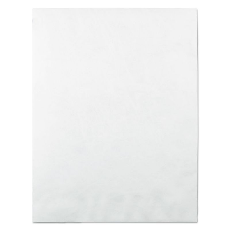 Survivor Tyvek Mailer 10 x 13 White 100/Box R1580