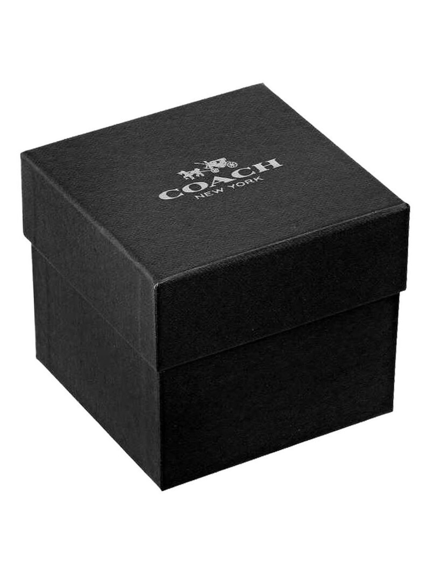 Coach NECO14503884W Analog Watch for Women