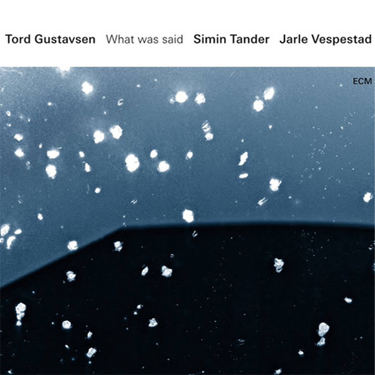 Tord Gustavsen, Simin Tander & Jarle Vespestad What Was Said 180g 2LP (Vinyl)