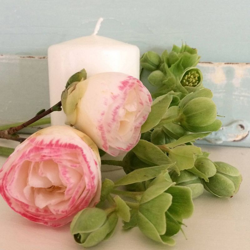 36ct 15-Hour Votive Candles White