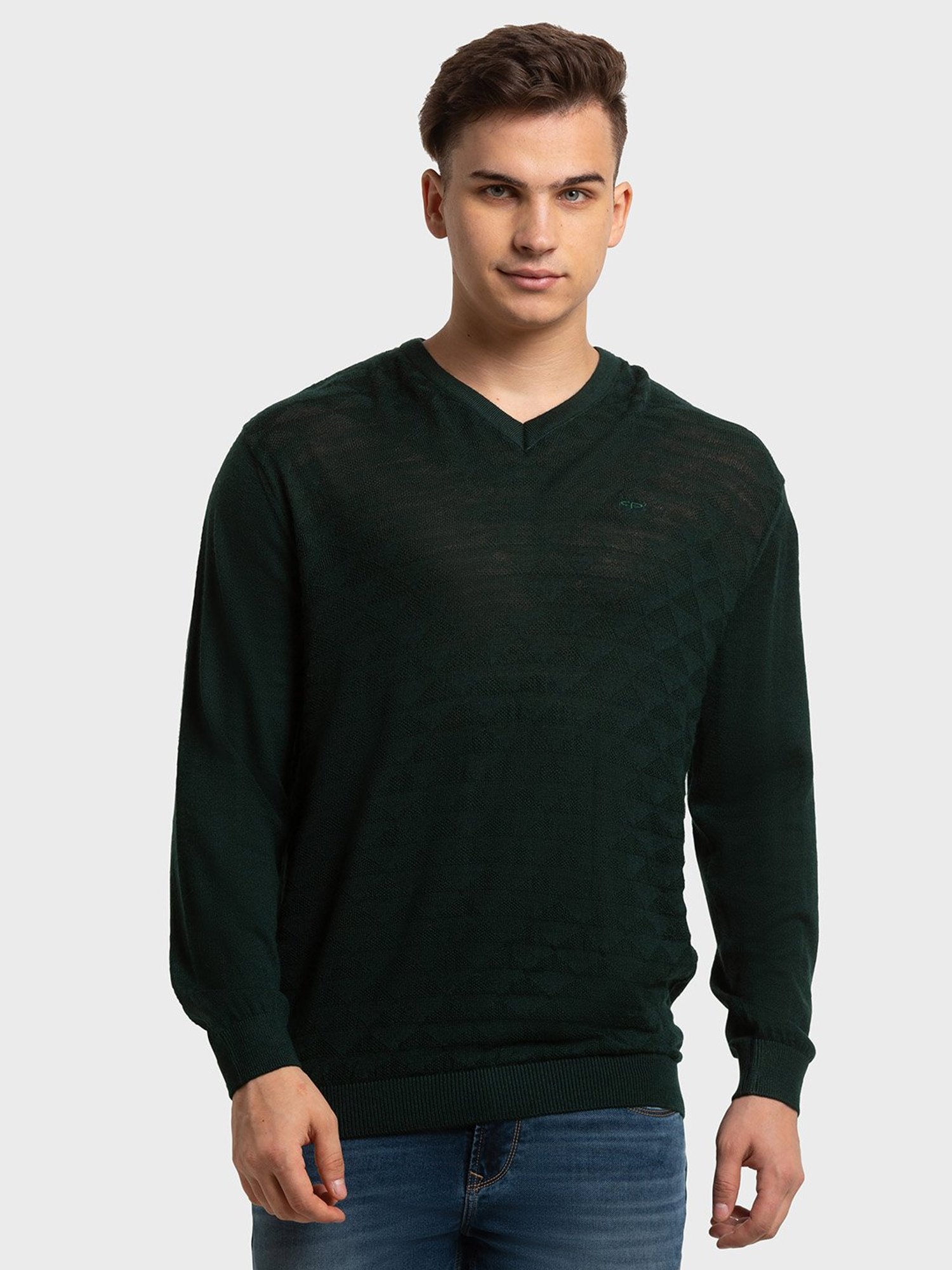 ColorPlus Green Tailored Fit Self Pattern Sweaters