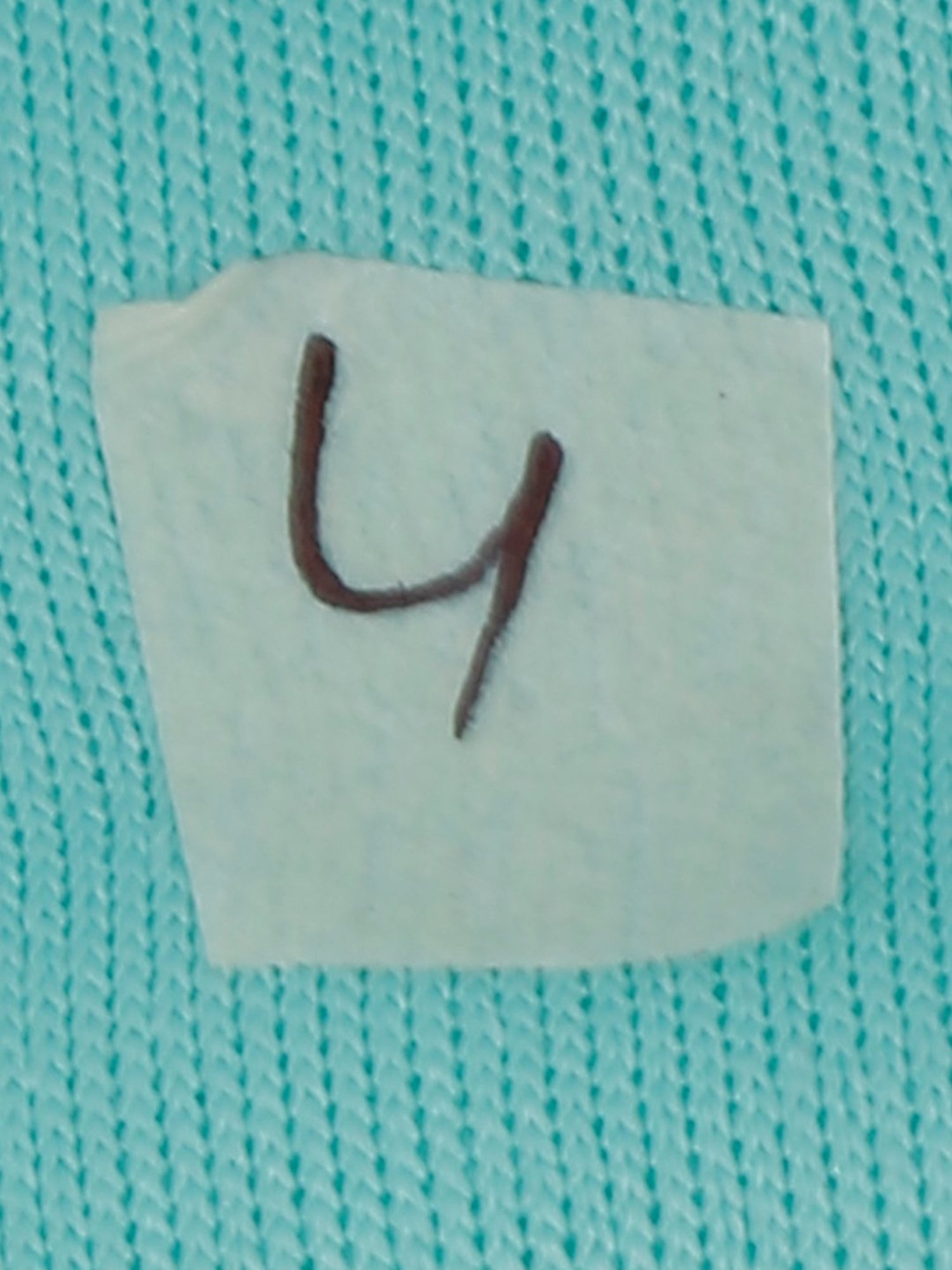 Creeva Everyday Sea Green 225 GSM Micro Terry Bathrobe with Front Pocket & Kimono Collar