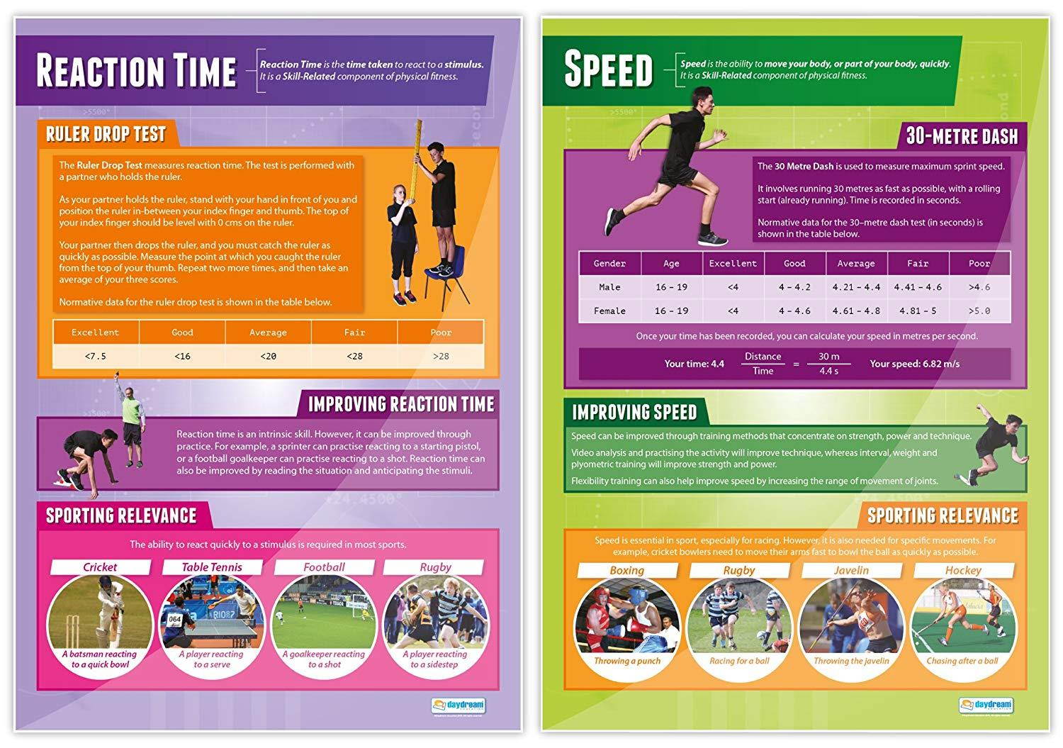 Components of Physical Fitness - Set of 12 PE Posters | Classroom Posters for PE | Gloss Paper measuring 33  x 23.5  | Phys Ed School Posters | Physical Education Gym Charts, by Daydream Education