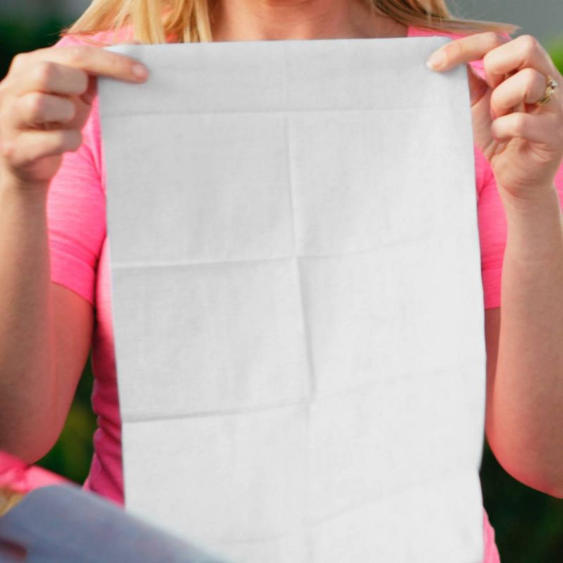 Armor All 12ct Ultra Shine Automotive Wax Wipes