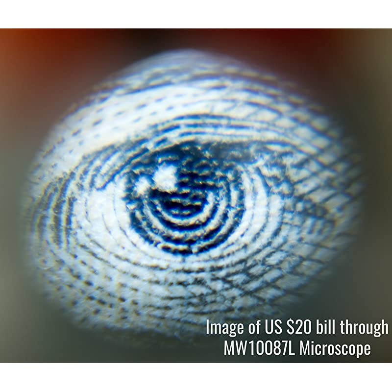 Mini 16x Microscope with Illuminator MW10087L