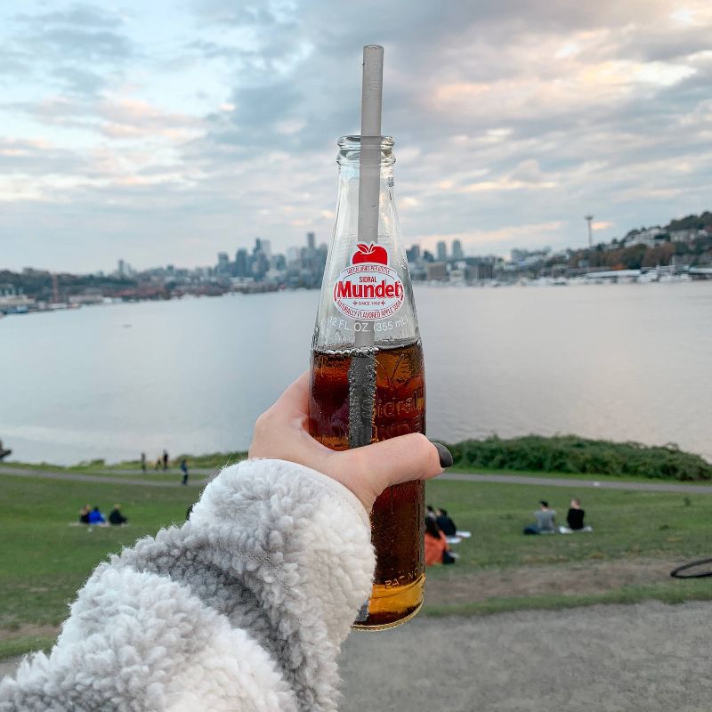 GoSili 4pk Extra-Long Silicone Straws Blue/Pink