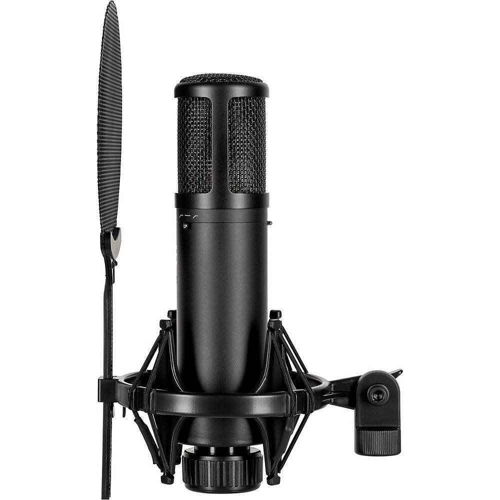 sE Electronics sE2300 microphone with shock mount,pop filter and thread adapter Black