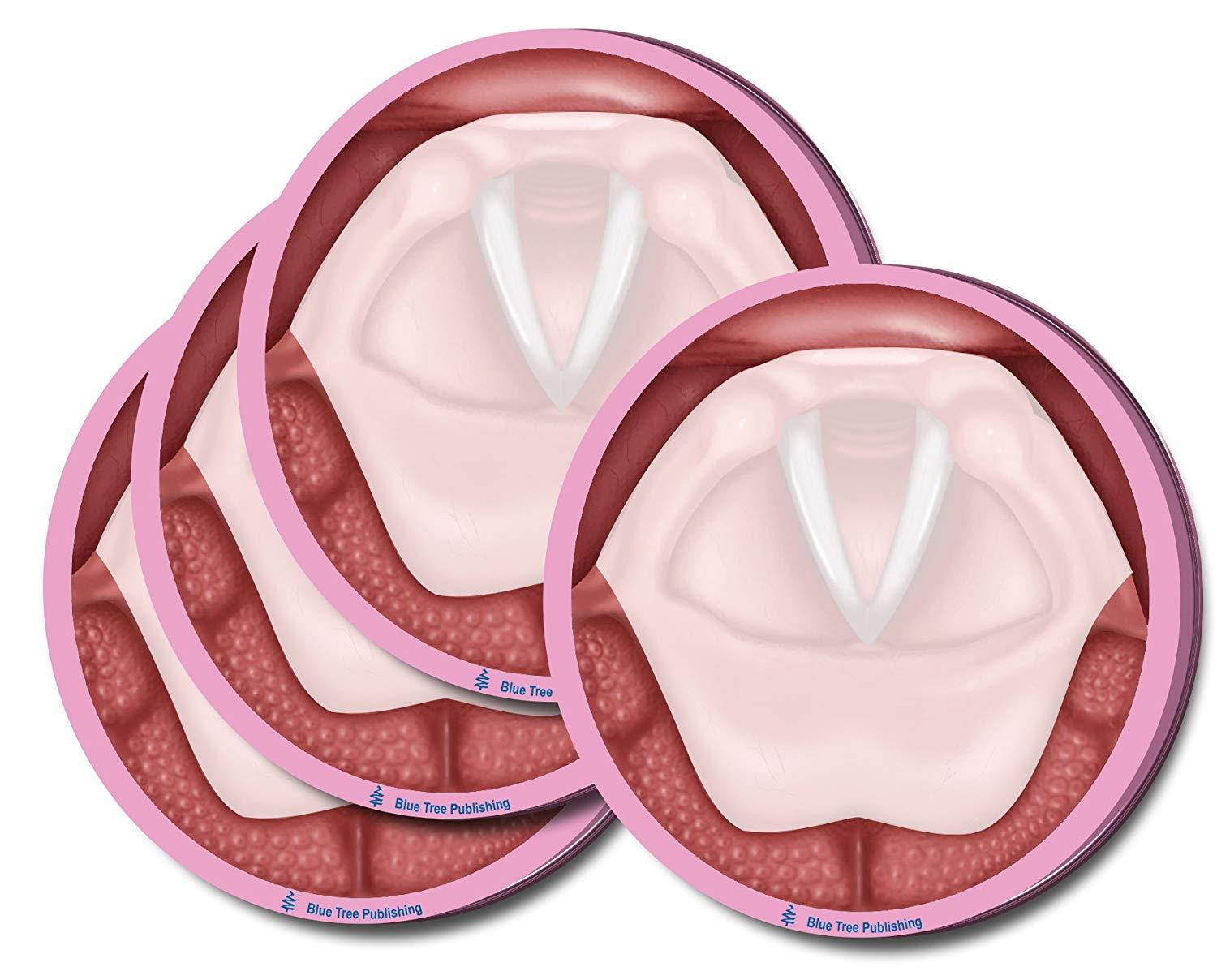 Vocal Folds Sticky Notes, 4 Packs-100 Sheets Per Pack