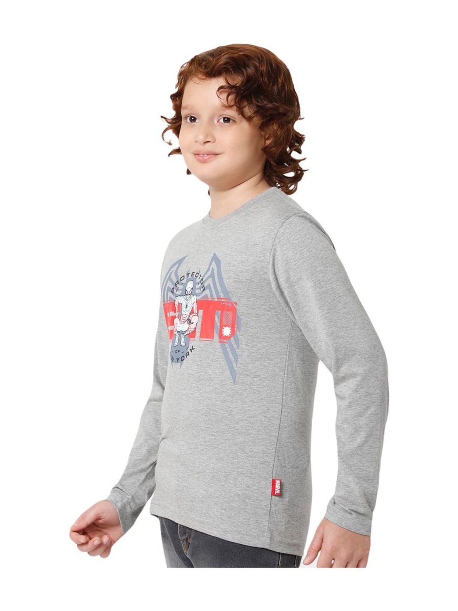 Proteens Boys Grey Melange Cotton Printed Full Sleeves T-Shirt