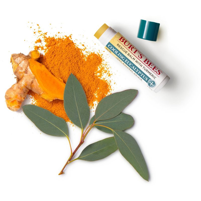 Burt's Bees Lip Balm Rescue Cooling Blister - 0.15oz