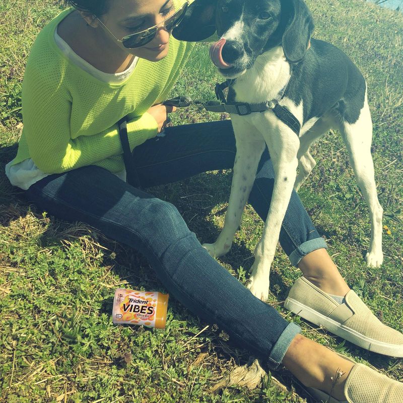 Wrigley's 5 Wintermint Ascent Sugarfree Gum Multipack - 45ct