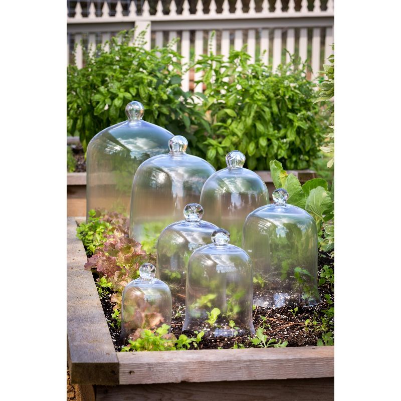 Park Hill Collection Tall Bell Jar 15'' X 9''