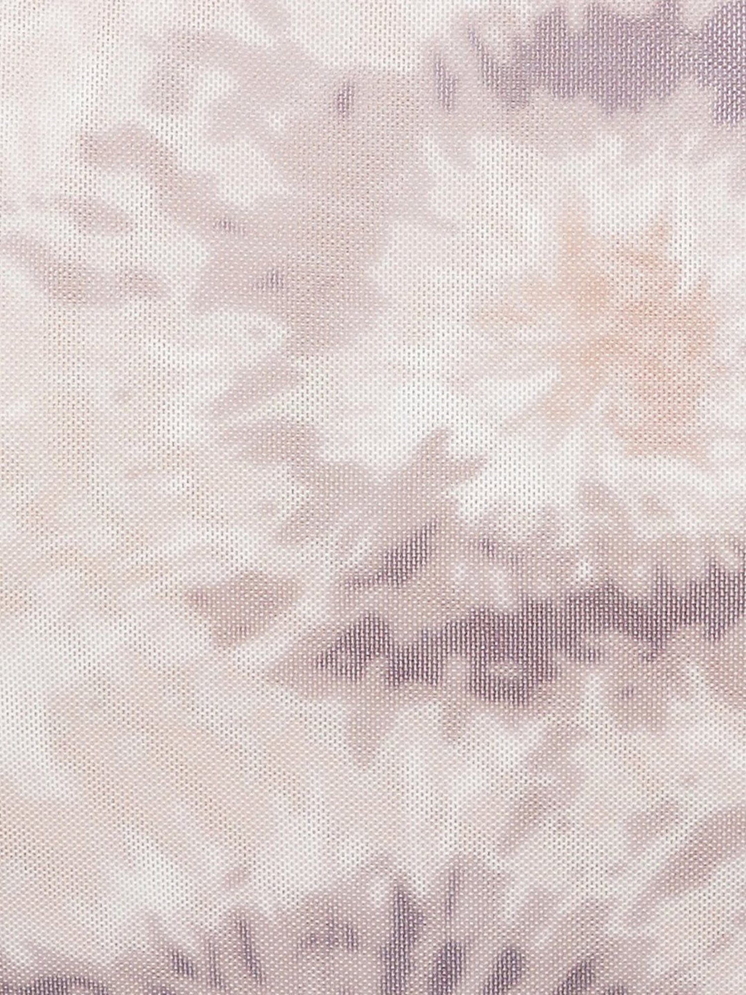 Ginger by Lifestyle Multicolor Printed Crop Top