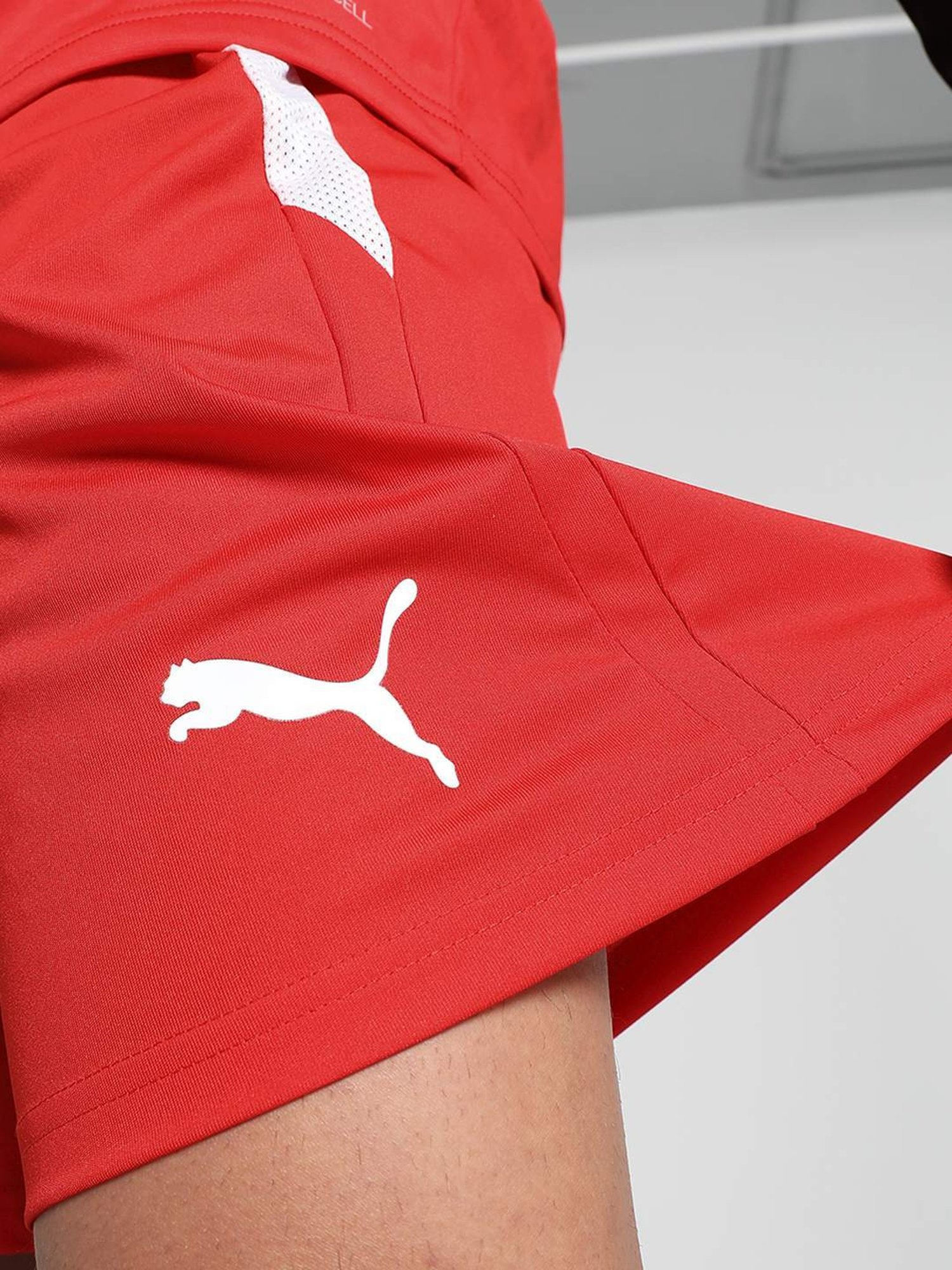 Puma Red Regular Fit Printed Sports Shorts