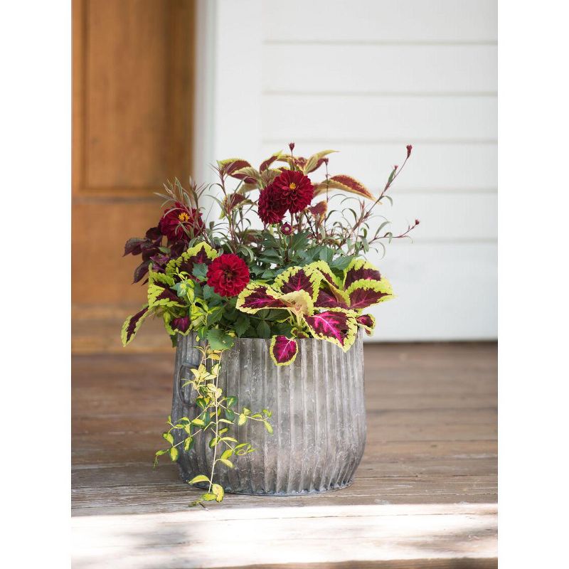 Galvanized Ribbed Barrel Planter, 12" - Gardener's Supply Company