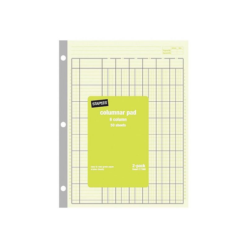 Staples Columnar Books 100 Pages Green 2/Pack (217869) 