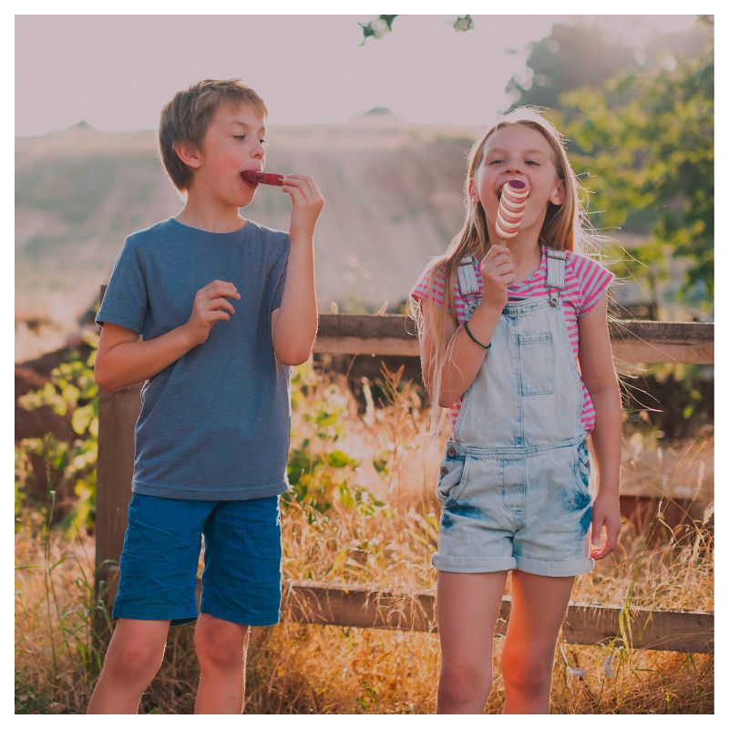 Popsicle Fruit Twister Raspberry Peach & Vanilla - 6ct/16.2oz