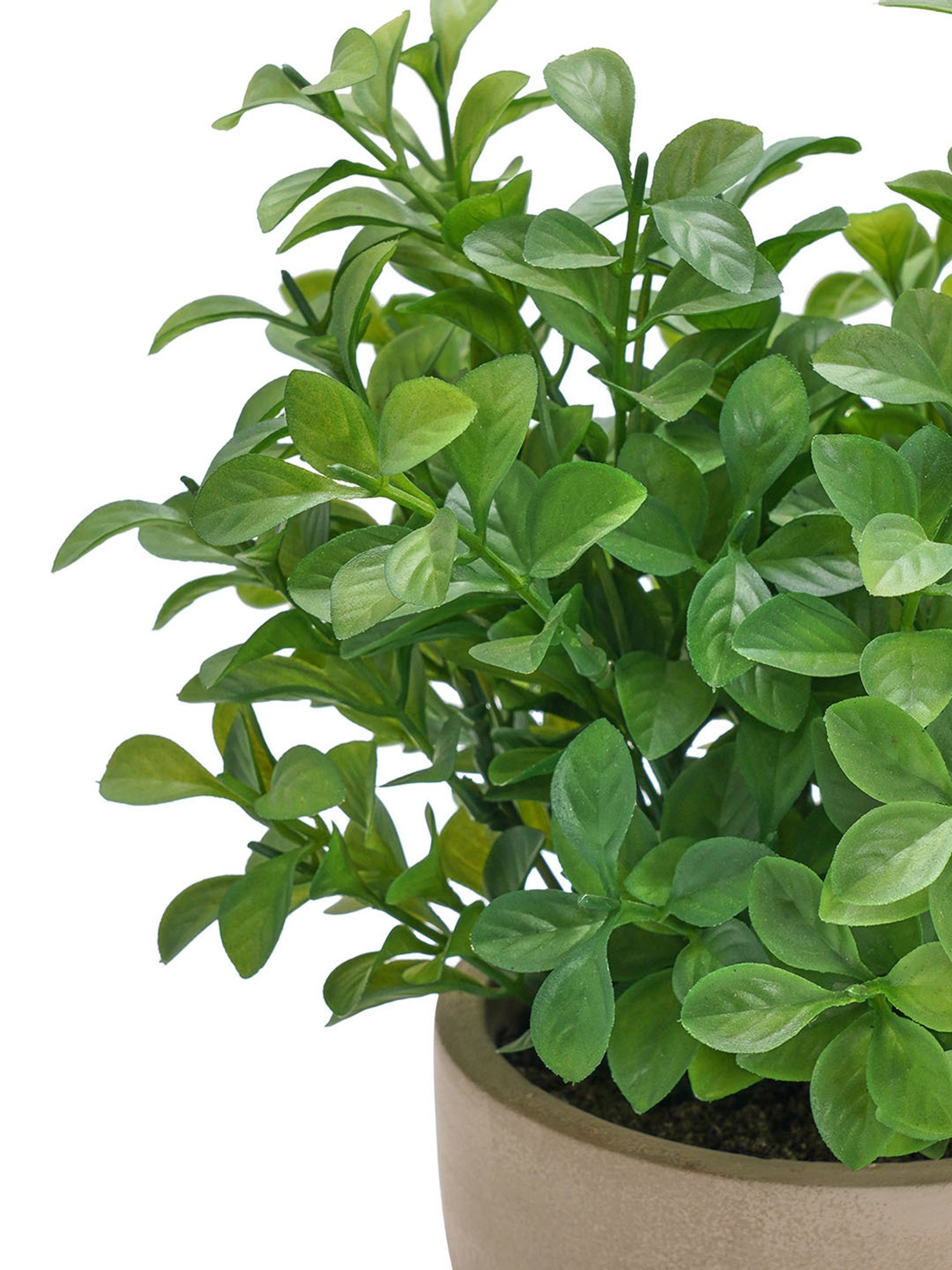 Pure Home and Living Green Plastic Potted Plants