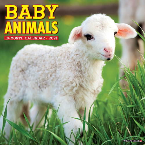 2021 Baby Animals Wall