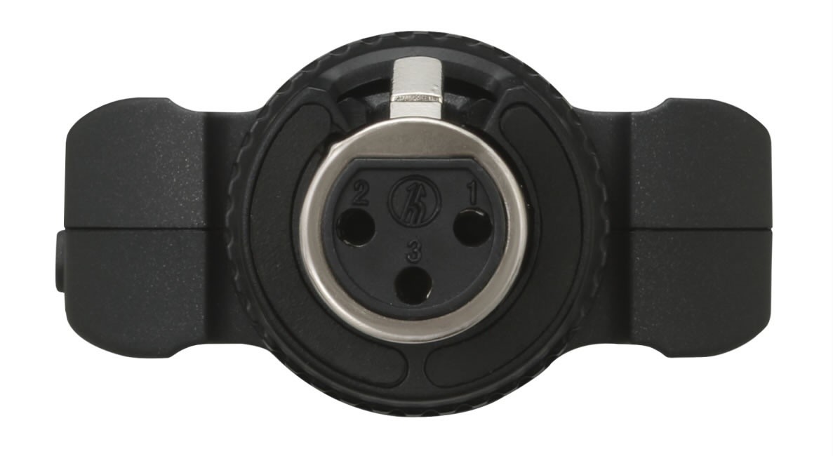 Tascam DR-10X Micro Linear Plug-On Audio Recorder Bundle with 2x 32GB Ultra microSD Memory Card, Cable Ties, Memory Card Case, Microfiber Cloth and AAA Batteries