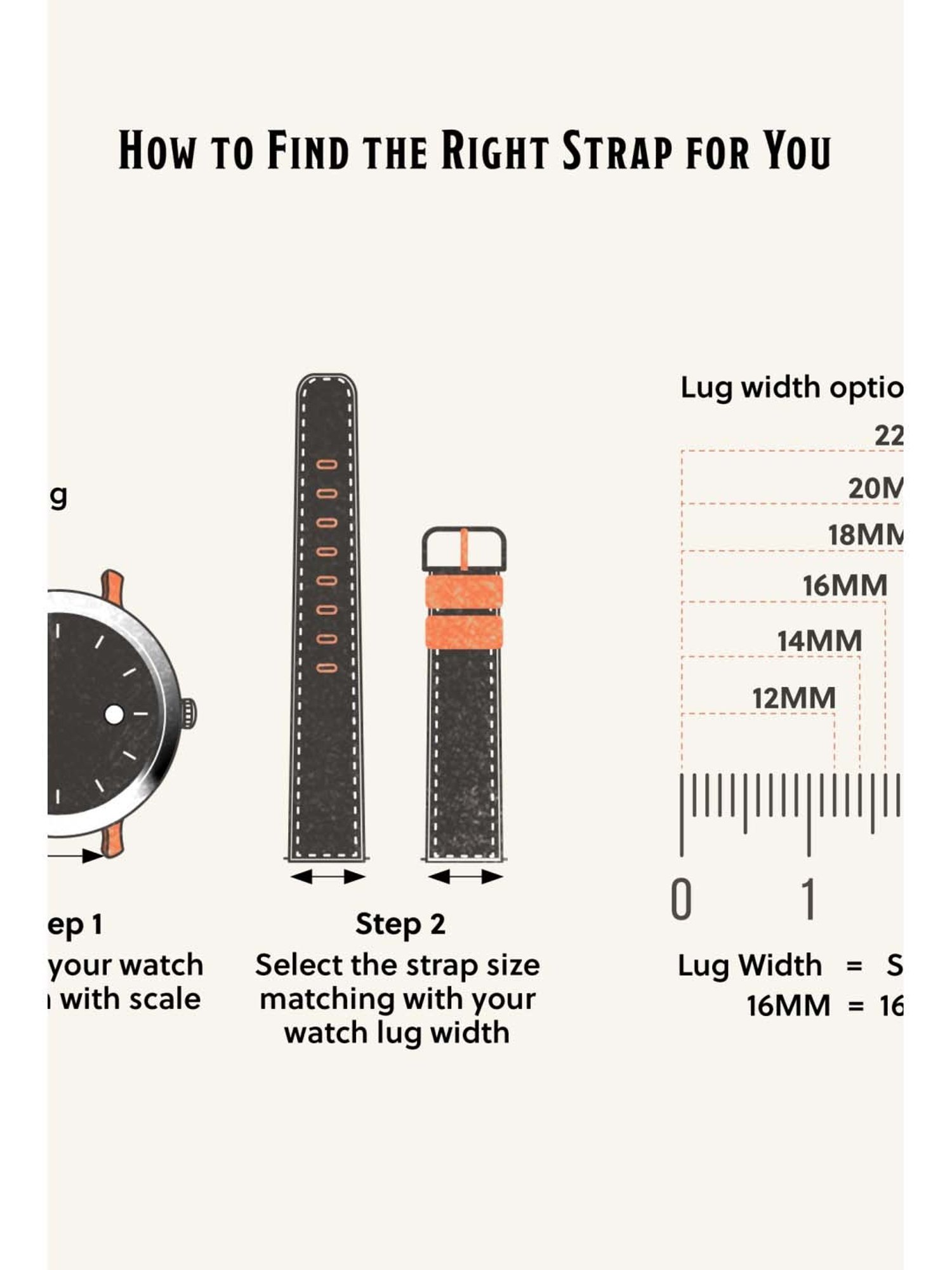 Fossil S121037 Watch Strap for Women
