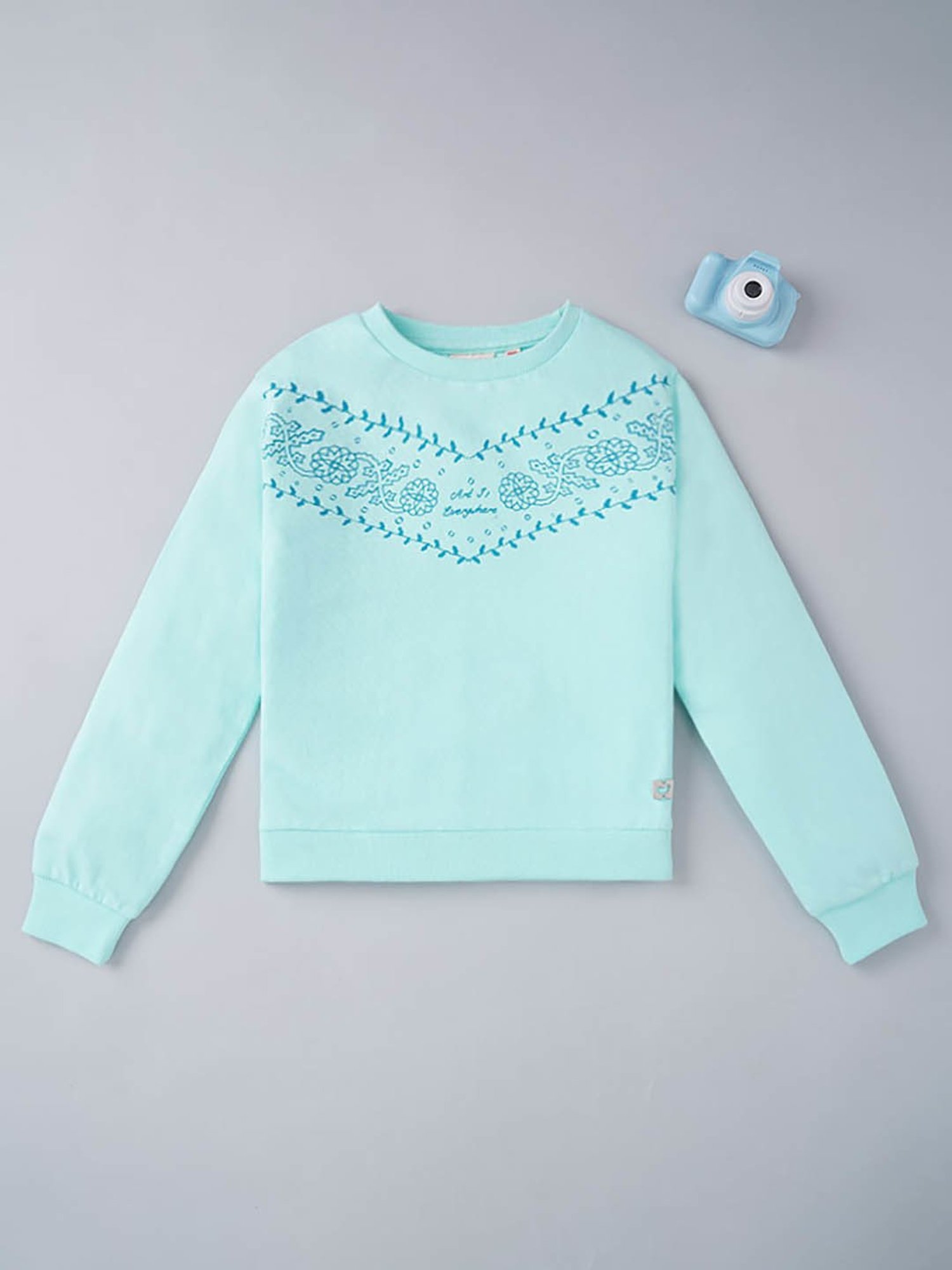 Ed-a-Mamma Kids Aqua Blue Printed Full Sleeves Sweatshirt