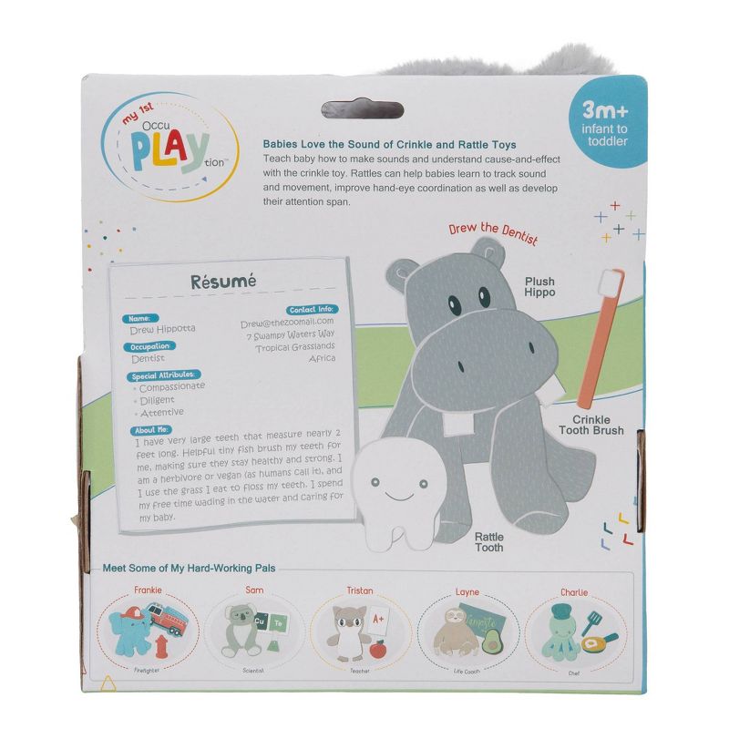 My 1st OccuPlaytion Hippo Dentist - 3pc
