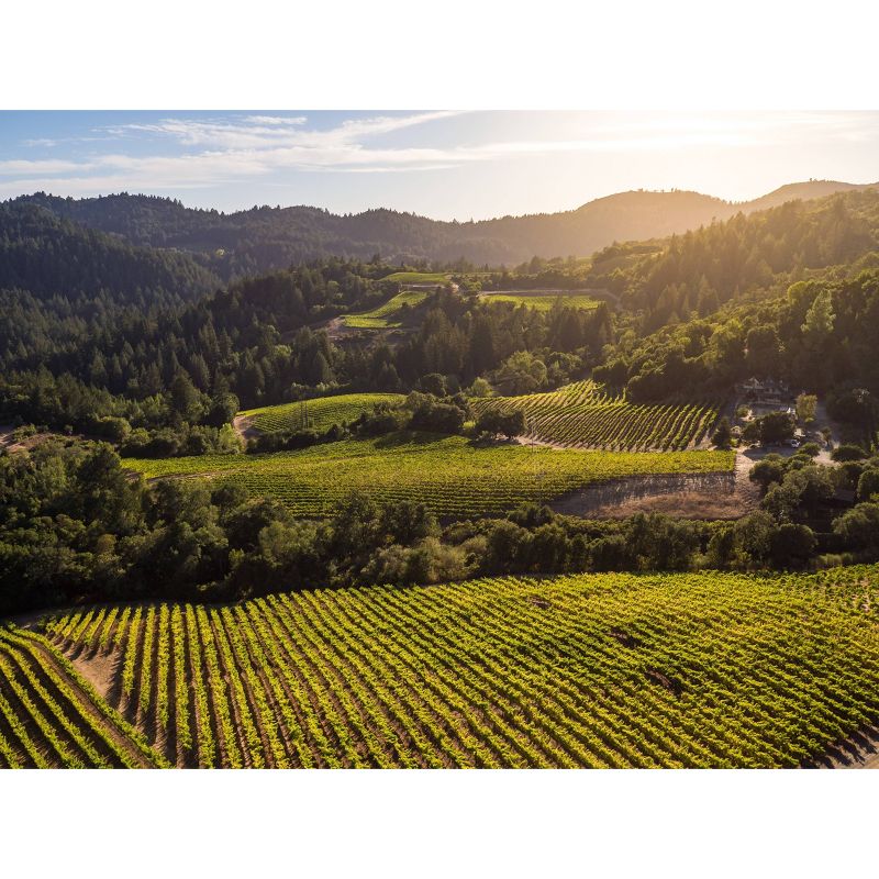 Newton Unfiltered Napa Chardonnay White Wine - 750ml Bottle