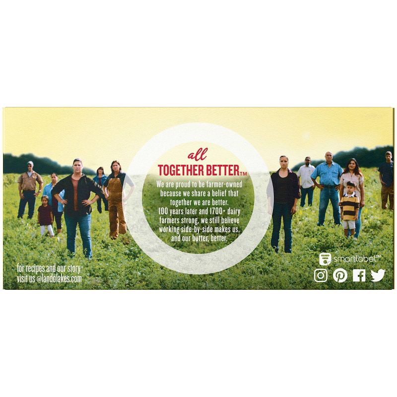 Land O Lakes Spreadable Butter with Olive Oil & Sea Salt - 7oz