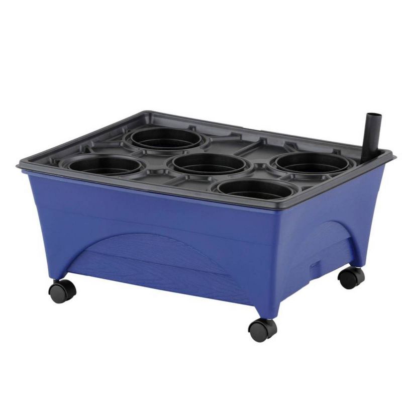 Harvest Planter Set Sage - Aerogarden