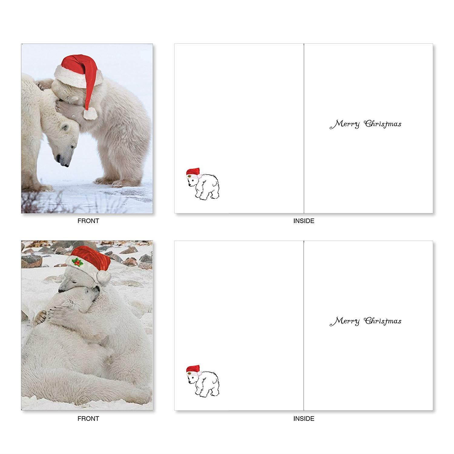Bear Hugs: 10 Assorted Christmas Greeting Cards Santa's Hat and Lovable Polar Bears Cuddling, with Envelopes. AM6327XSG-B1x10
