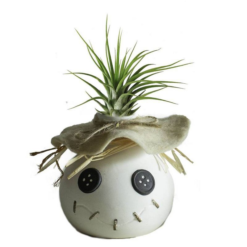 LiveTrends Button Eye Joe