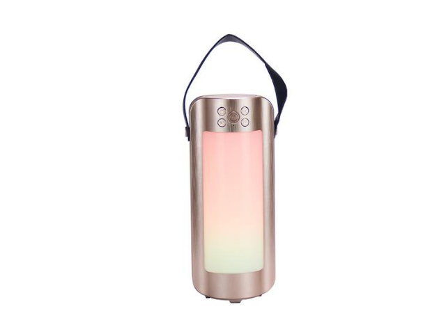 ZTECH Wireless Lantern Speaker