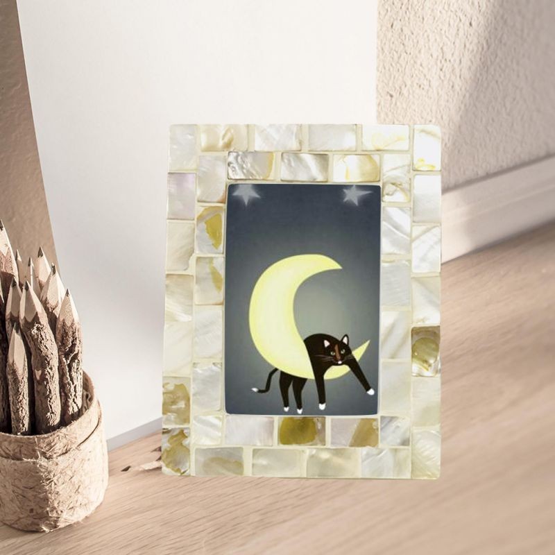 promaster 49mm hgx digital circular polarizing fil