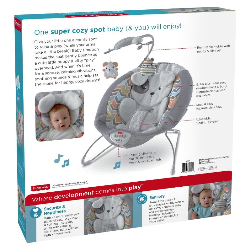 ​Fisher-Price Baby Bouncer