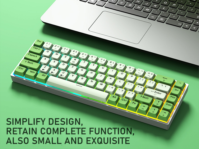 Aula F3068 68 Keys Bluetooth+Wired Dual Mode RGB Mechanical Keyboard Hot Swappable Switch Full keys Anti-ghosting Cool Backlight Effect for Pc Laptop Offical Computer