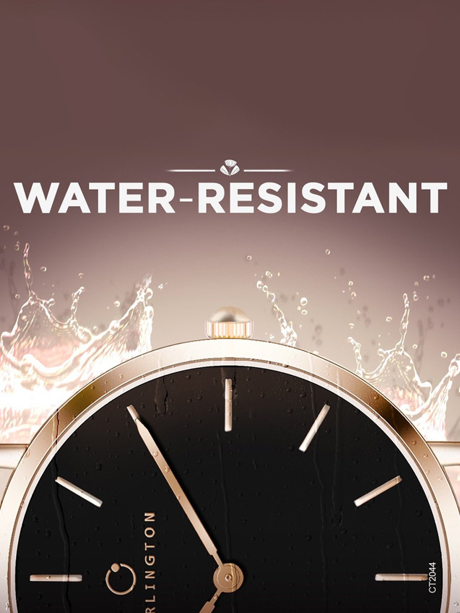 Carlington Iconic 2044 Black Analog Watch for Women