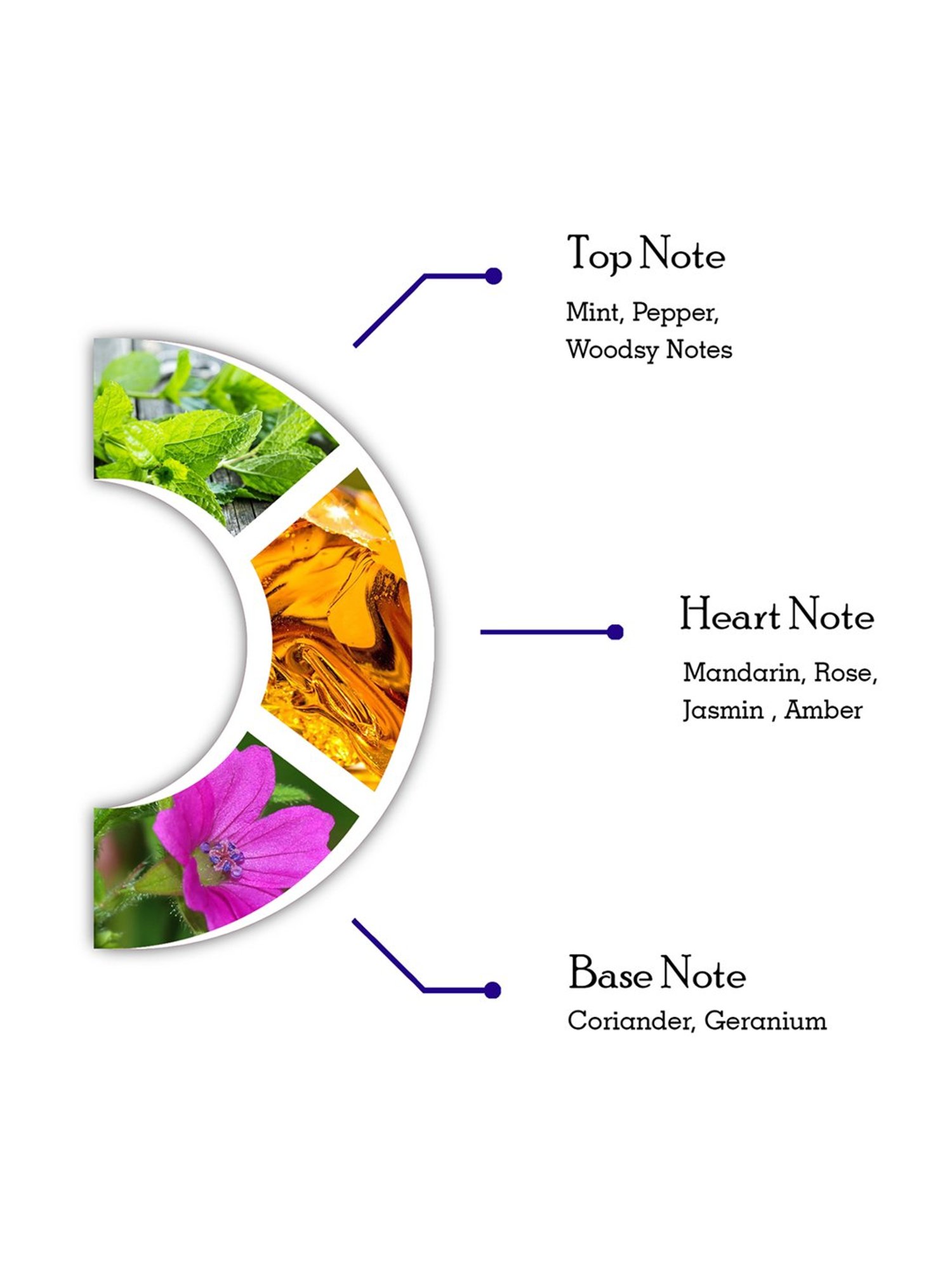 Dorall Collection Blue Prince Eau de Toilette Spray for Men - 100 ml