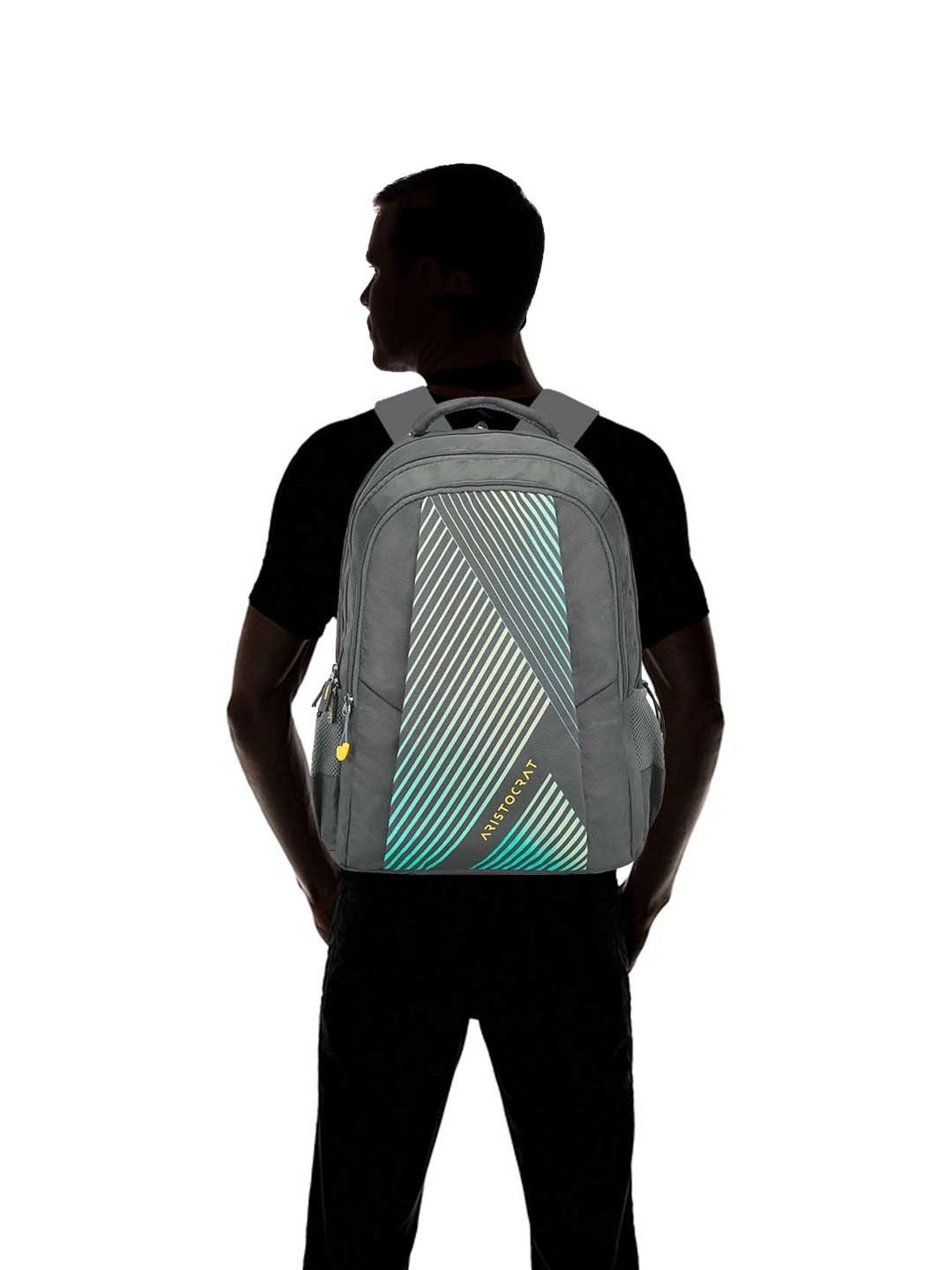 Aristocrat 27 Ltrs Grey Medium Backpack
