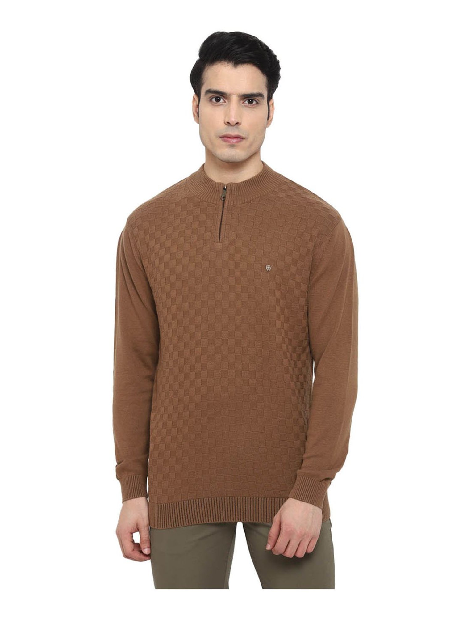 Turtle Brown Regular Fit Pullover