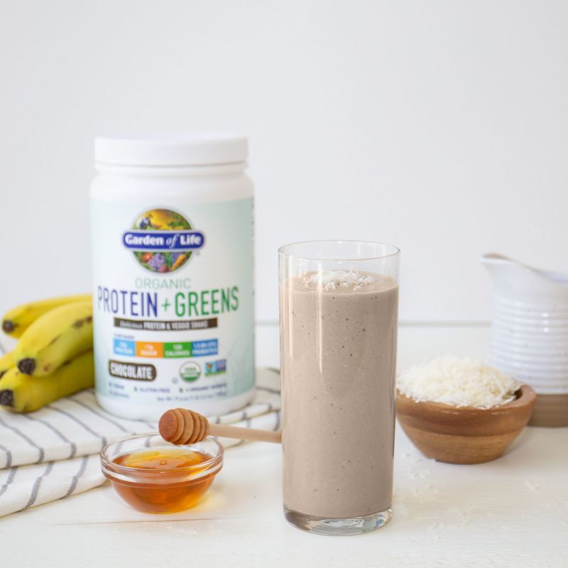 Garden of Life Organic Vegan Protein + Greens Shake Mix - Chocolate - 19.4oz