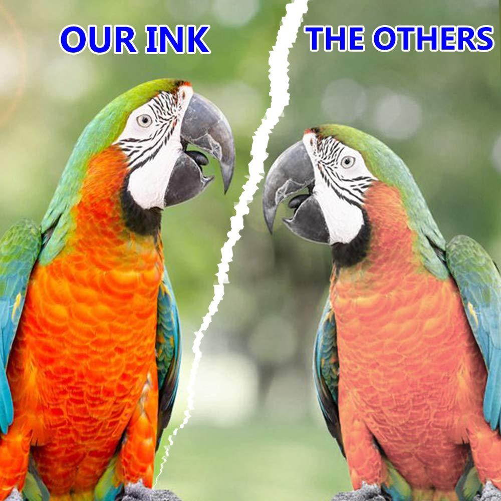 Sublimation Ink for Inkjet Printers Sublimation Ink for C68 C88 C88+ WF-7710 WF-7720 WF-7210 WF-3630 WF-3620 WF-3640 WF-7110 WF-7620, Heat Transfer on Mugs, t-Shirts, Phone Cases