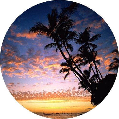 Scenic Palm Trees Ocean Round THICK Mousepad Mouse Pad Great Gift Idea
